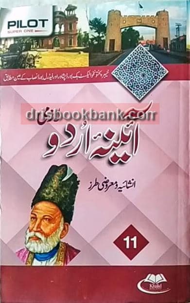 AINA URDU 11 FB