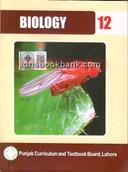 PTB BIOLOGY 12