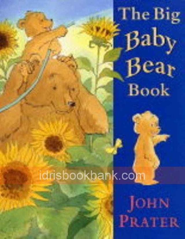 THE BIG BABY BEAR BOOK